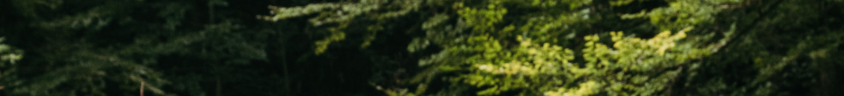 plpBackgroundgImg